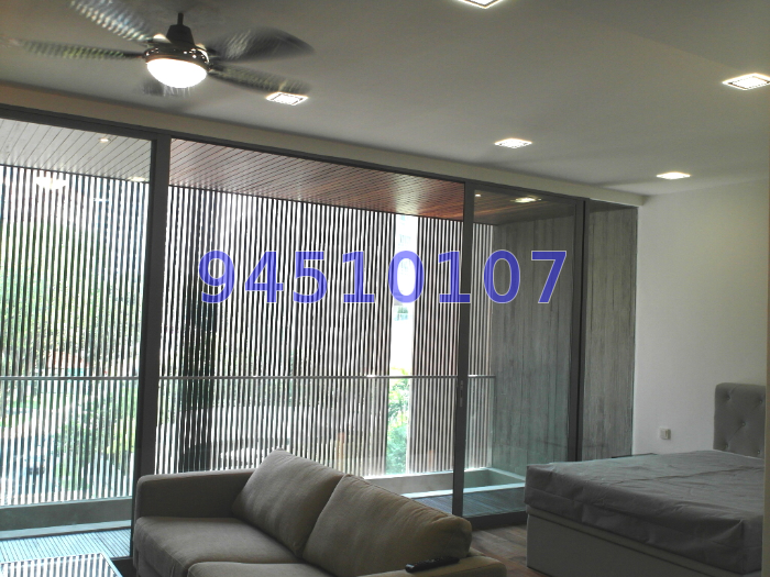 Killiney 118 (D9), Apartment #49789012